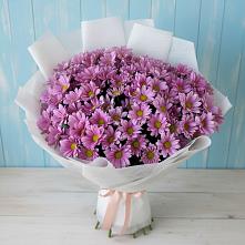 Букет цветов из:  Хризантемы #REPLACE_PRED# Икряном