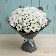 Букет цветов из:  Хризантемы #REPLACE_PRED# Икряном